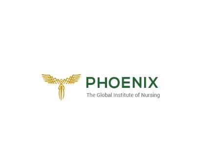 Phoenix Nursing Institute